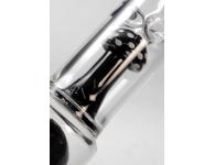 Blaze Mushroom | Blaze | SpbBong.com