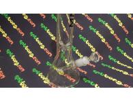 MNML Milky Triangle 35 | <b></b> | SpbBong.com