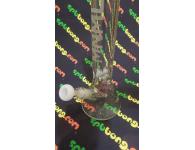 MNML Triangle 7mm | <b></b> | SpbBong.com