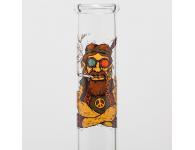 SmoKing Bong | <b></b> | SpbBong.com