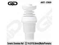 GG  Medical Grade Ceramic domeless nail |   | SpbBong.com